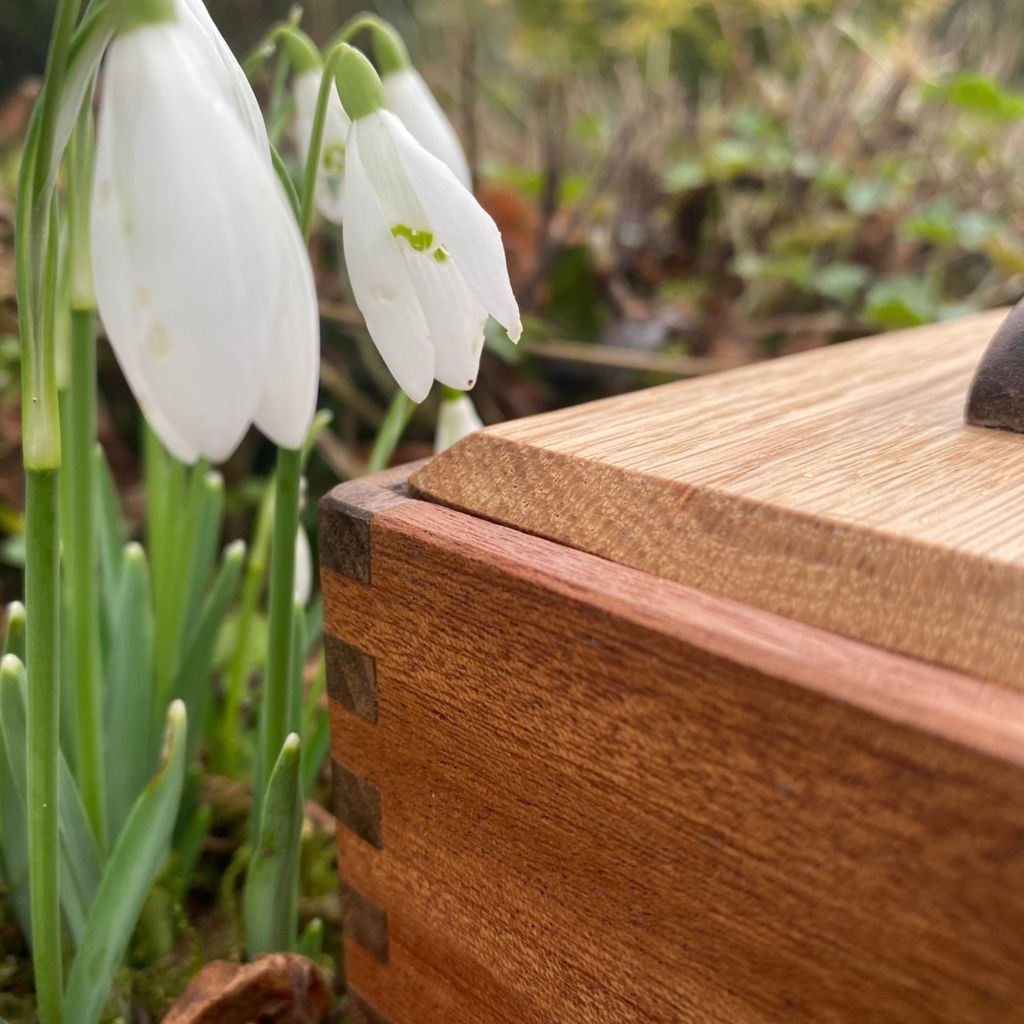 Ashes Casket for Small Pet Sam Alton WoodWork Derbyshire Close Up