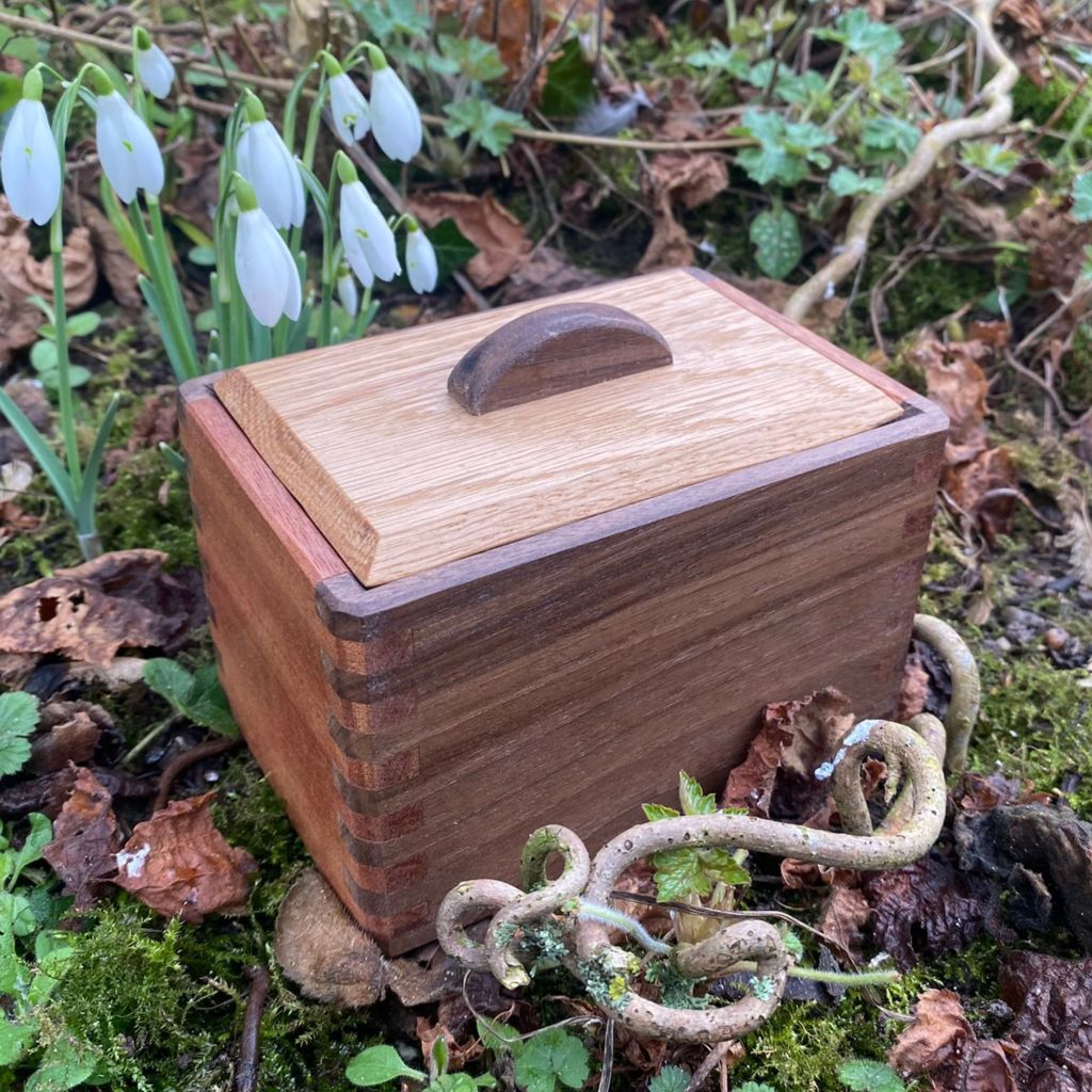 Ashes Casket for Small Pet Sam Alton WoodWork Derbyshire Close Up